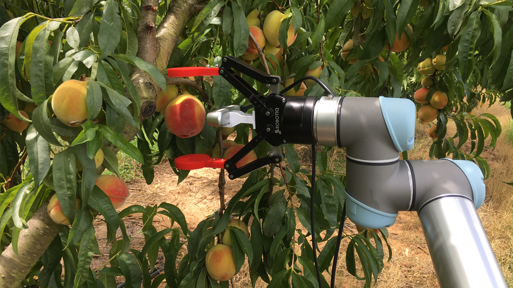 Improving the Human Condition with Smart Systems
